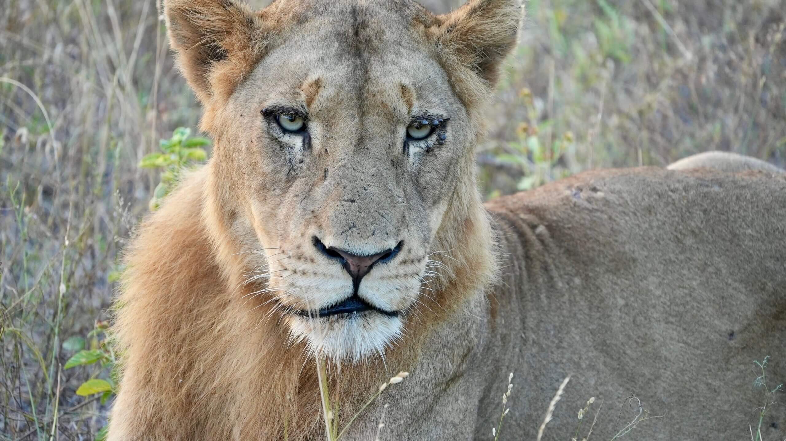 Kruger National Park